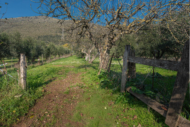 Casa indipendente in vendita a Prossedi