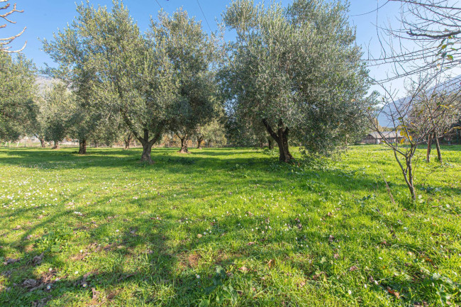 Casa indipendente in vendita a Prossedi