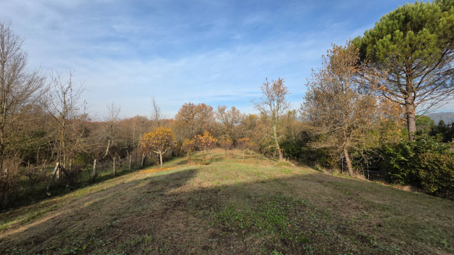 Rustico in vendita a Arce