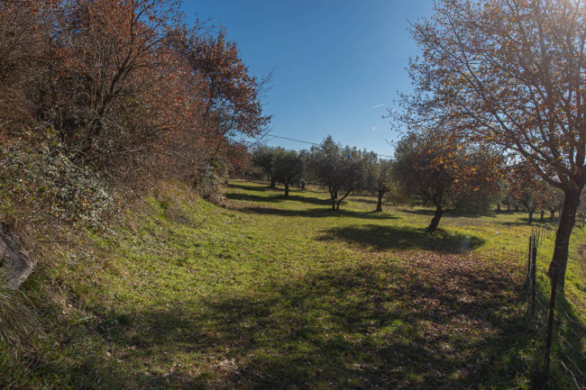 Casale di campagna in vendita a Veroli