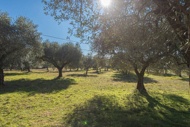 Casale di campagna in vendita a Veroli