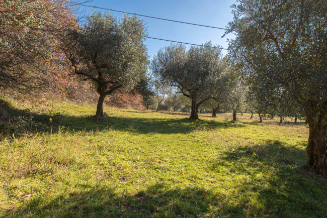 Casale di campagna in vendita a Veroli