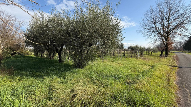 Casa indipendente in vendita a Roccasecca