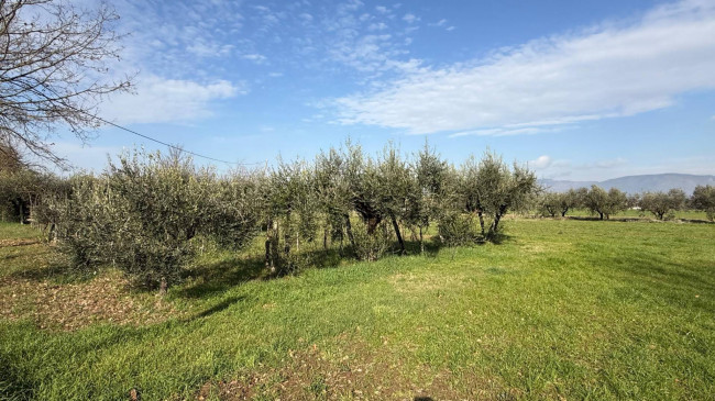 Casa indipendente in vendita a Roccasecca