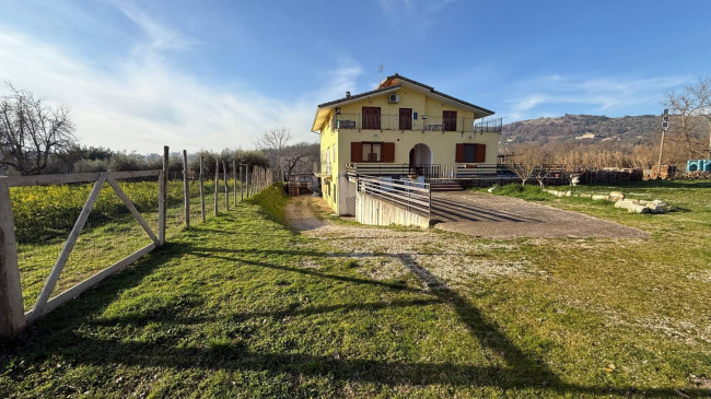 Appartamento in affitto/vendita a Colfelice