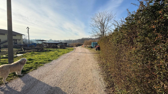 Appartamento in affitto/vendita a Colfelice
