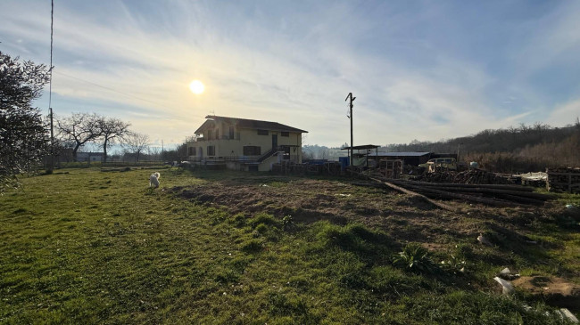 Appartamento in affitto/vendita a Colfelice