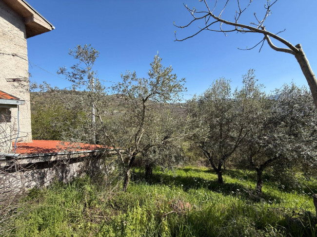 Casale di campagna in vendita a Arpino