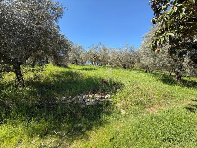 Casale di campagna in vendita a Arpino