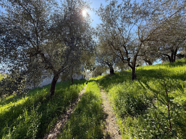Casale di campagna in vendita a Arpino