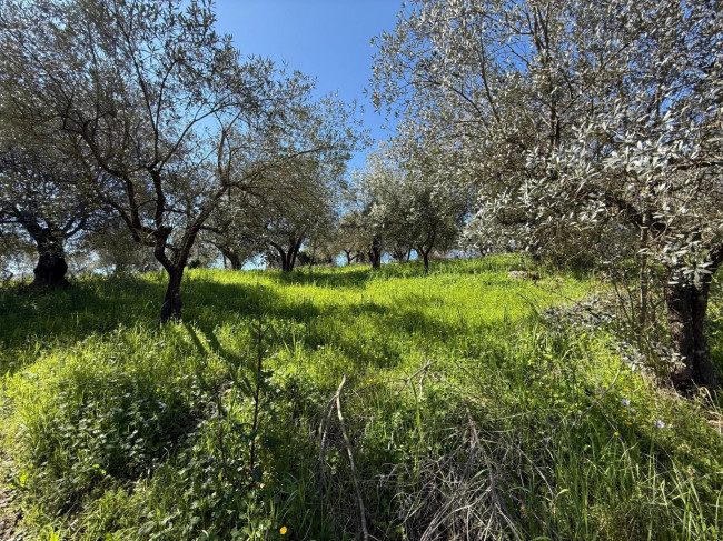Casale di campagna in vendita a Arpino