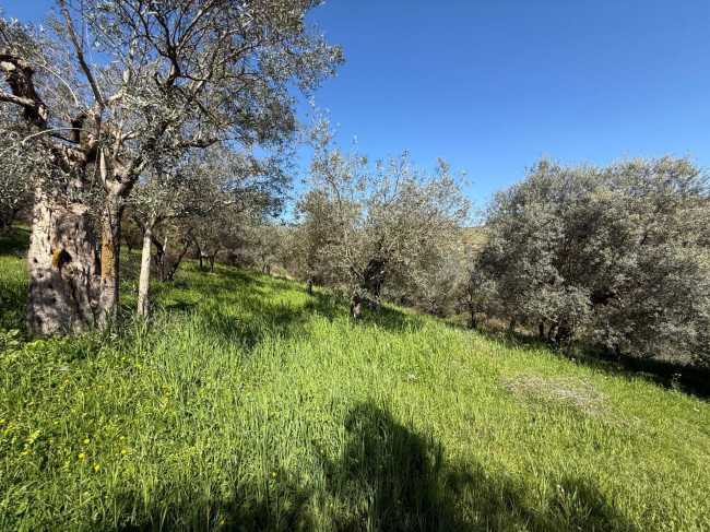 Casale di campagna in vendita a Arpino