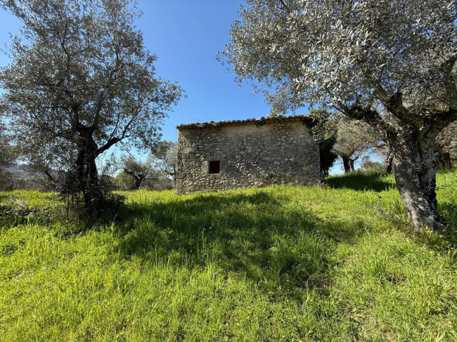Casale di campagna in vendita a Arpino