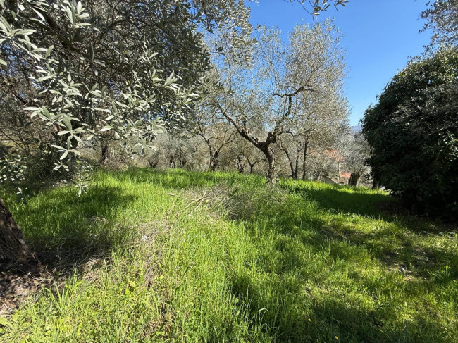 Casale di campagna in vendita a Arpino