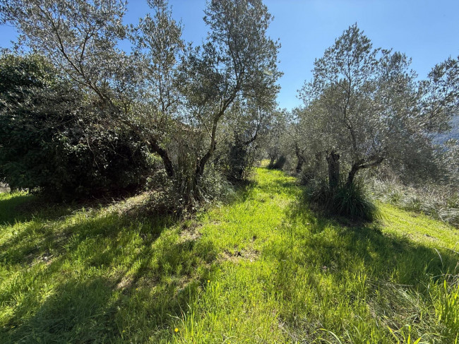 Casale di campagna in vendita a Arpino