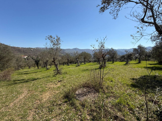 Casale di campagna in vendita a Arpino