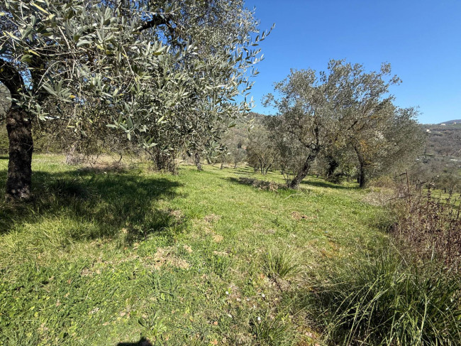 Casale di campagna in vendita a Arpino