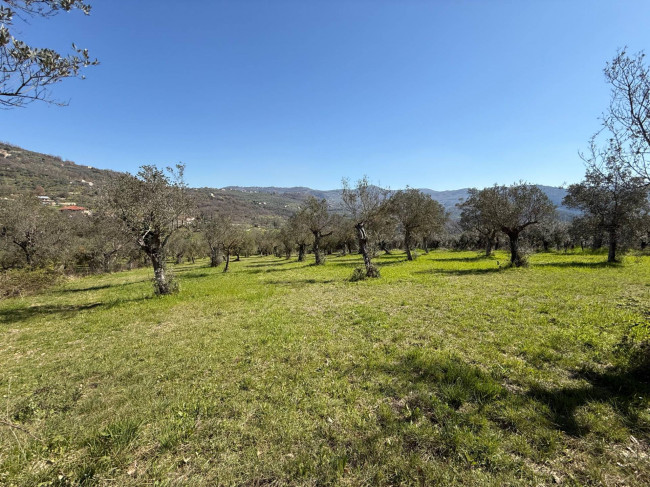 Casale di campagna in vendita a Arpino