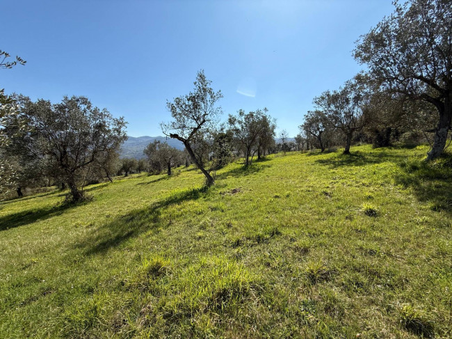 Casale di campagna in vendita a Arpino