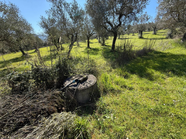 Casale di campagna in vendita a Arpino