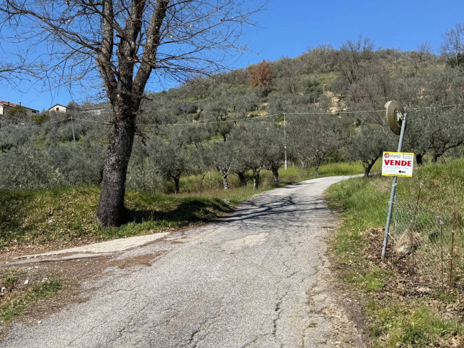Casale di campagna in vendita a Arpino