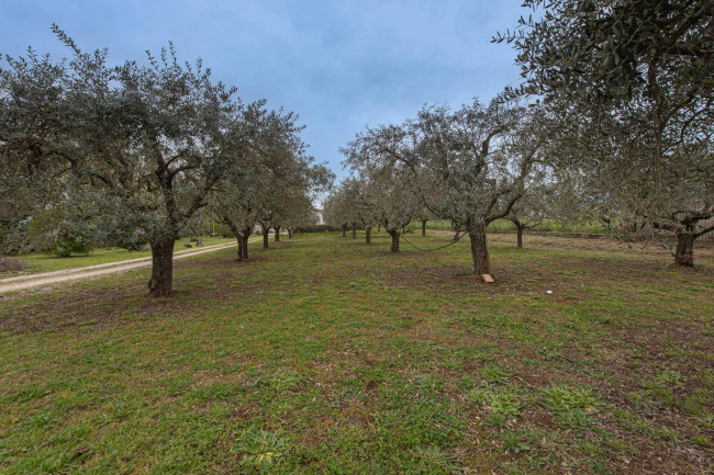Casa indipendente in vendita a Castrocielo