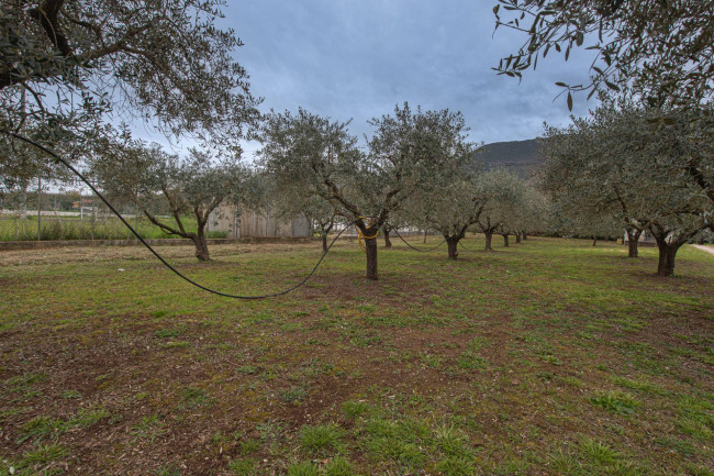 Casa indipendente in vendita a Castrocielo