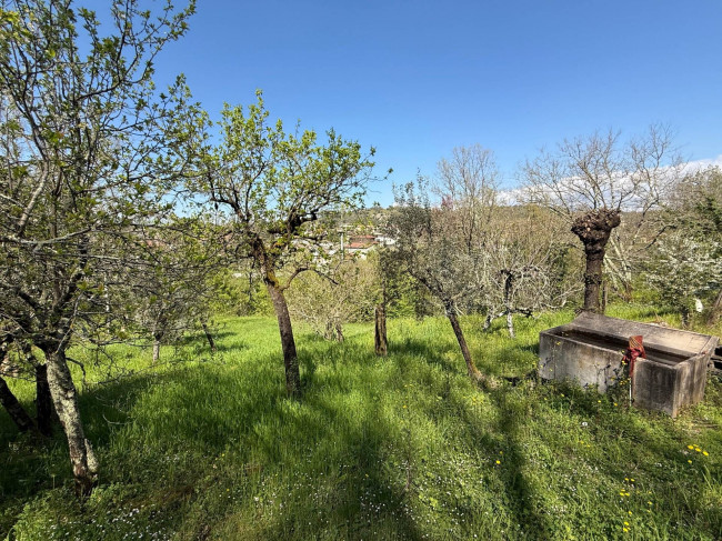 Casale di campagna in vendita a Fontana Liri
