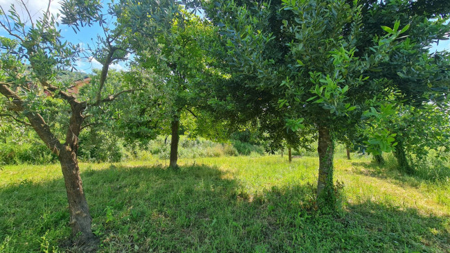 Casa indipendente in vendita a Falvaterra