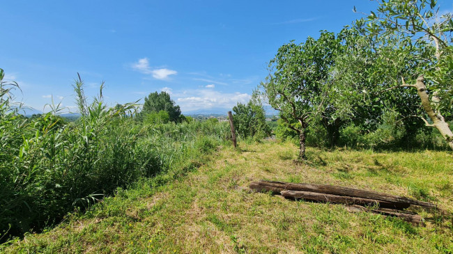 Casa indipendente in vendita a Falvaterra