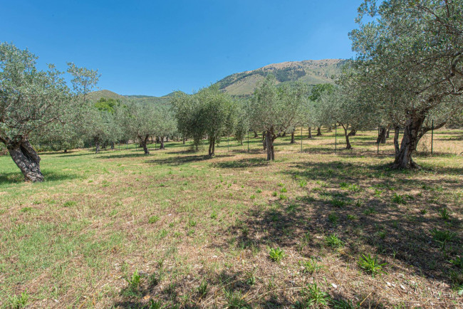 Casa indipendente in vendita a Cervaro