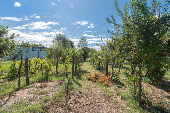 detached house for sale in Colfelice