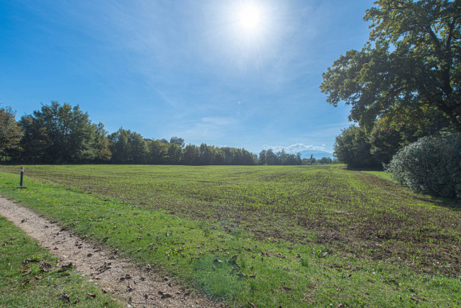 Casale di campagna in vendita a Roccasecca