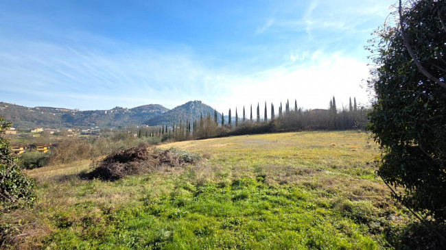 Casa indipendente in vendita a Arpino