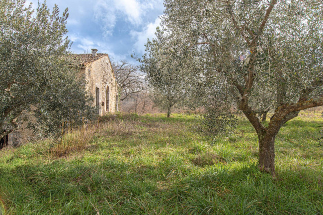 Casa indipendente in vendita a Santopadre