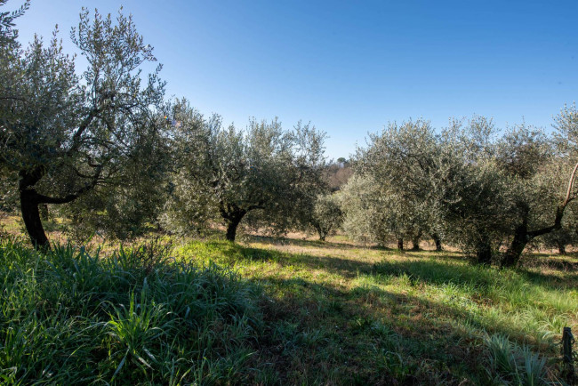 Casa/villa d'epoca in vendita a Arpino