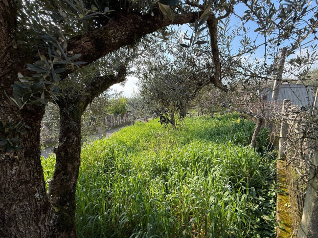 Casa indipendente in vendita a Piedimonte San Germano