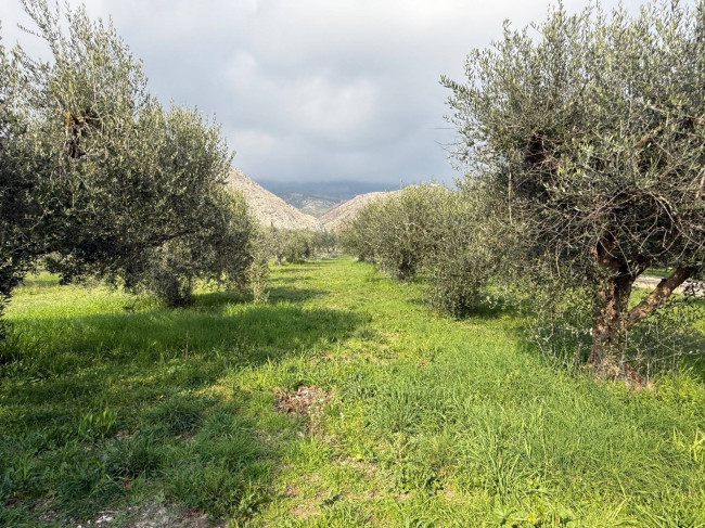 Casa indipendente in vendita a Piedimonte San Germano