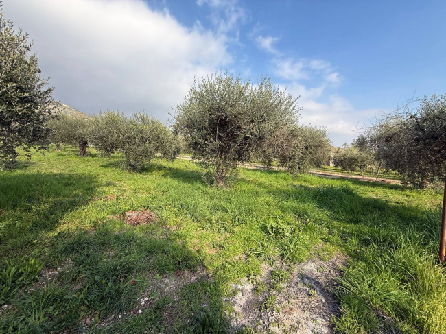 Casa indipendente in vendita a Piedimonte San Germano