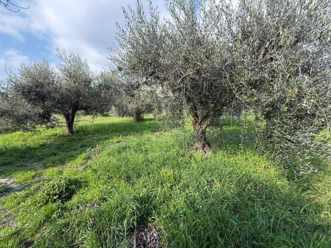 Casa indipendente in vendita a Piedimonte San Germano