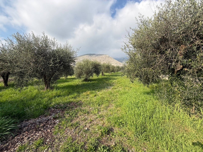 Casa indipendente in vendita a Piedimonte San Germano