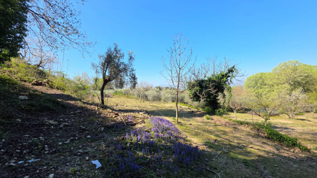 farmhouse for sale in Santopadre