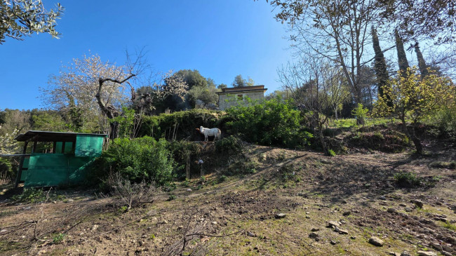 farmhouse for sale in Santopadre