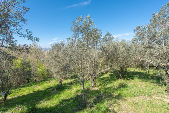 Villa for sale in Fontana Liri