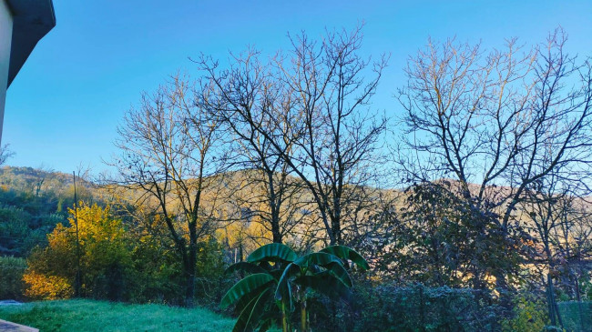 Land for sale in Villafranca in Lunigiana