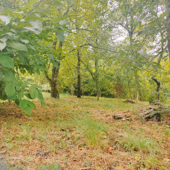 Land in Villafranca - view 1