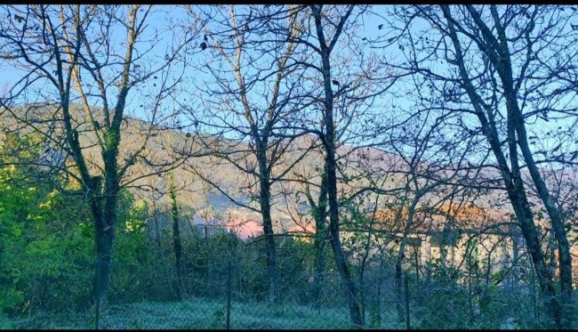 Land in Villafranca - Image 4