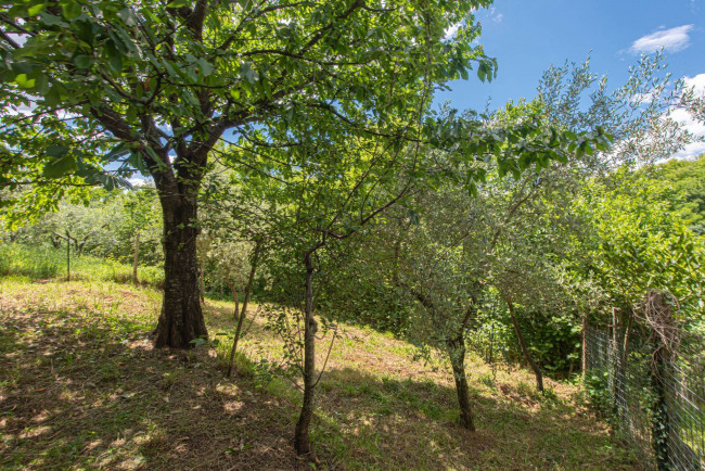 Casa indipendente in vendita a Sora