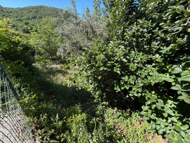 soluzione semiindipendente in vendita a Rocca d'Arce