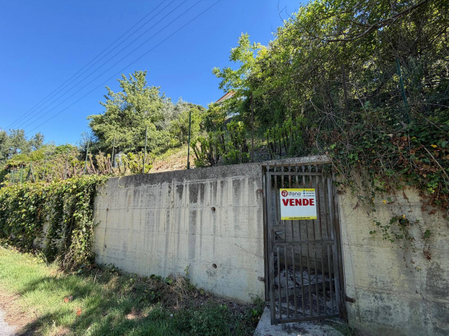 soluzione semiindipendente in vendita a Rocca d'Arce